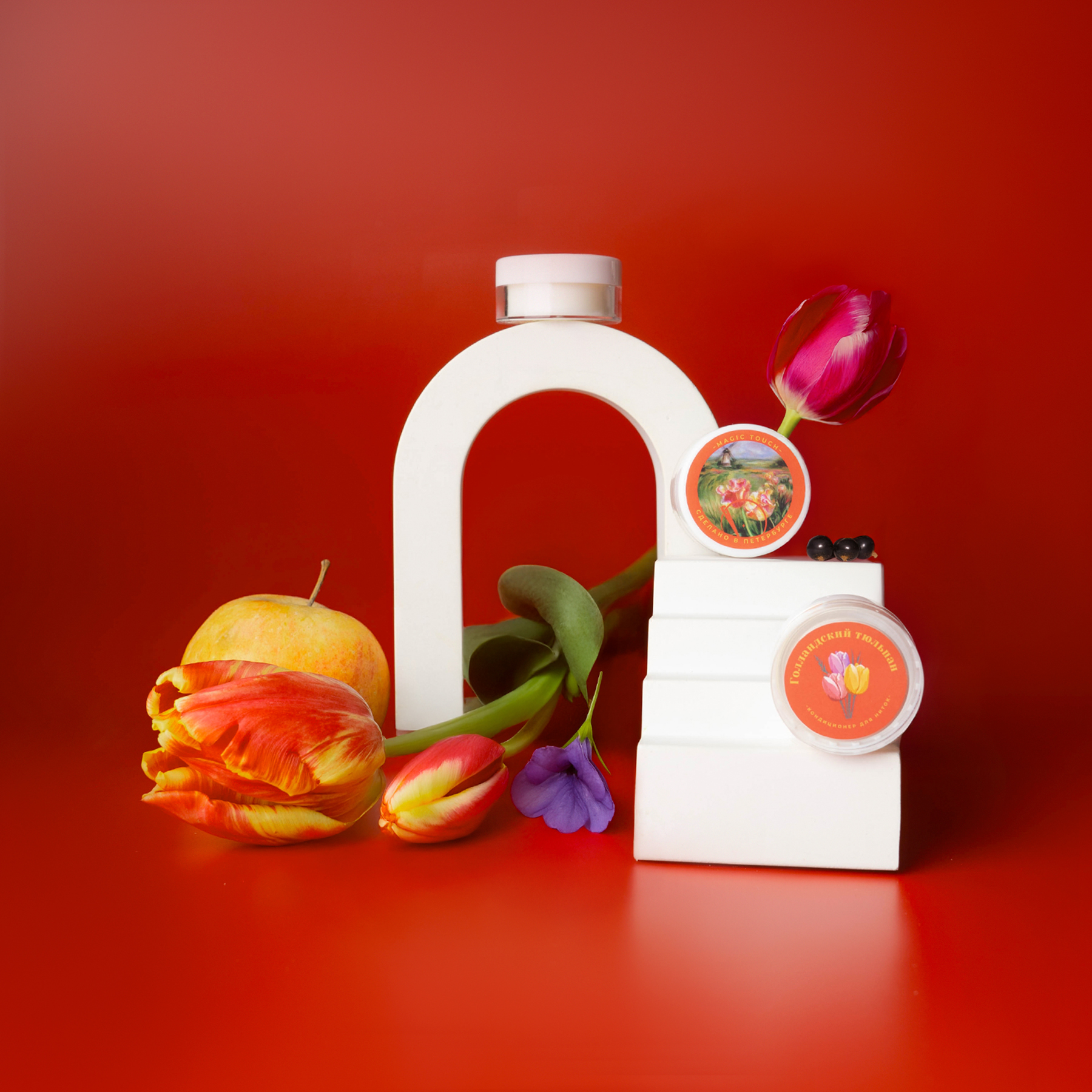 Голландский тюльпан