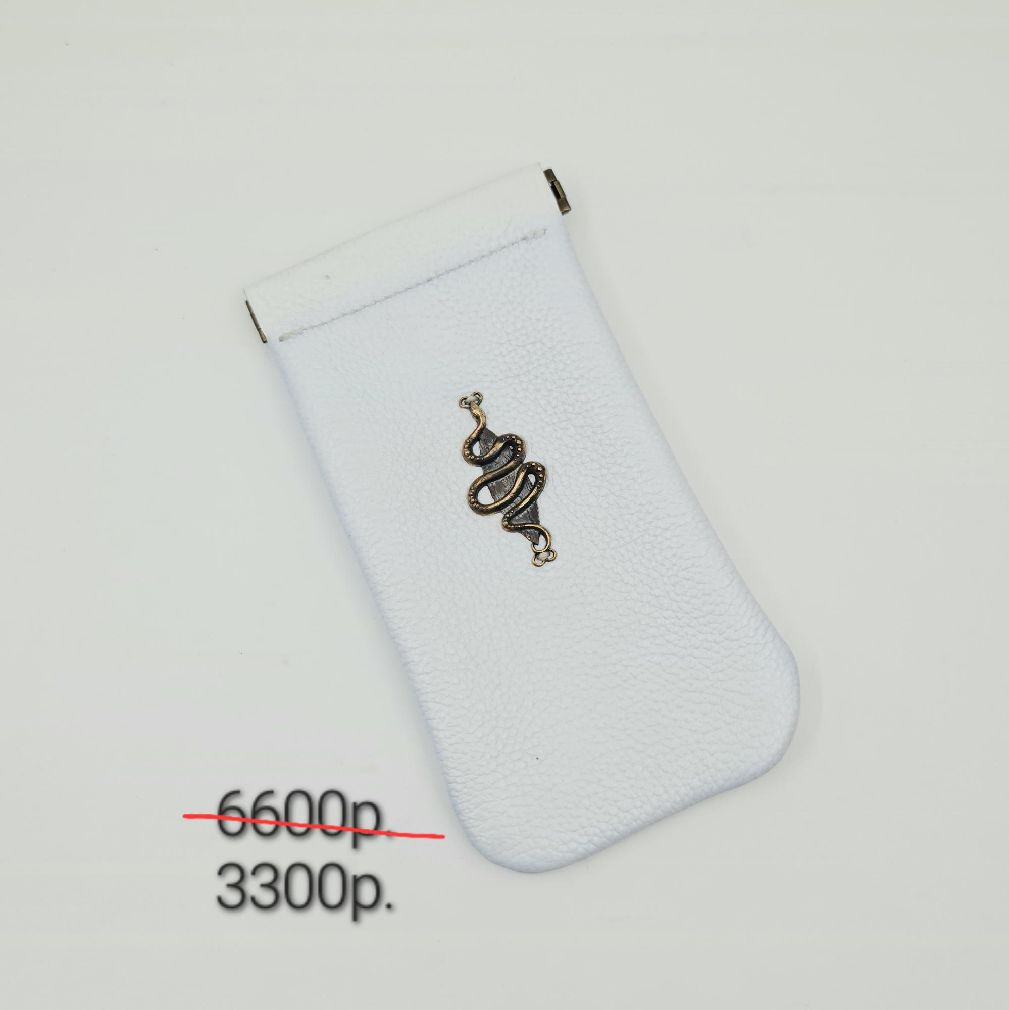 Чехол для очков "Змейки" -50%