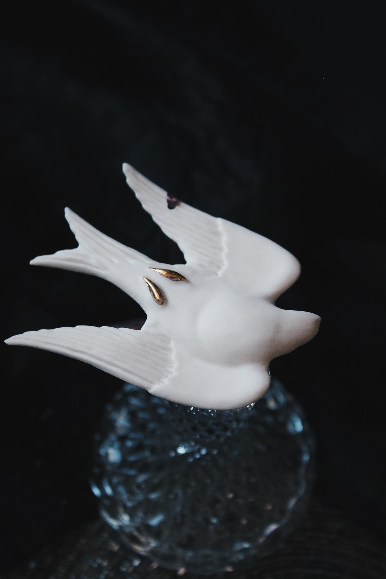 Ласточка белая