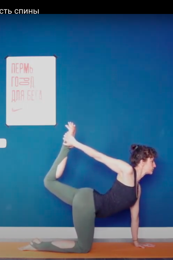 Сила и гибкость спины