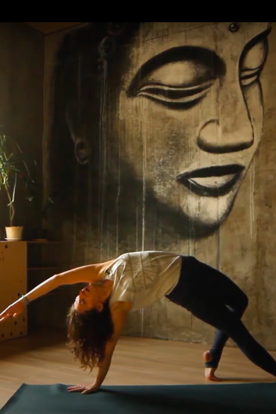 Силовая динамика