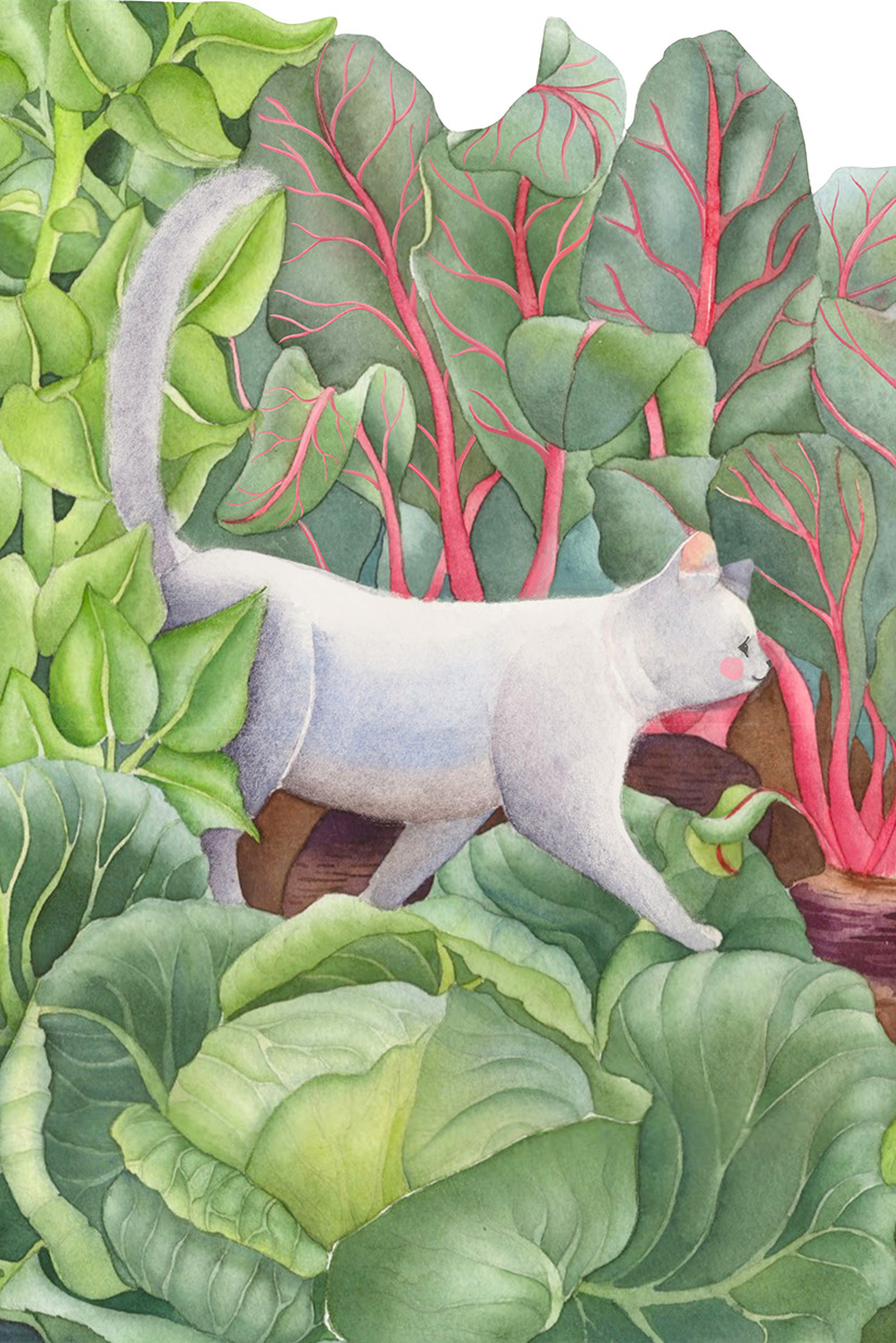 Открытка "Кот капустный"