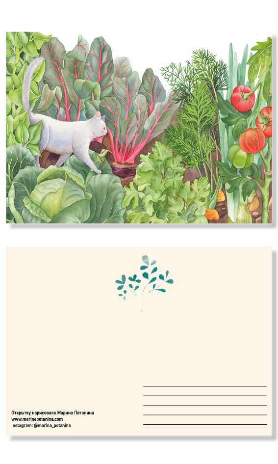 Открытка "Кот капустный"