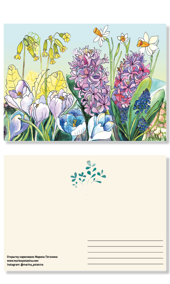 Открытка "Гиацинты и ко"