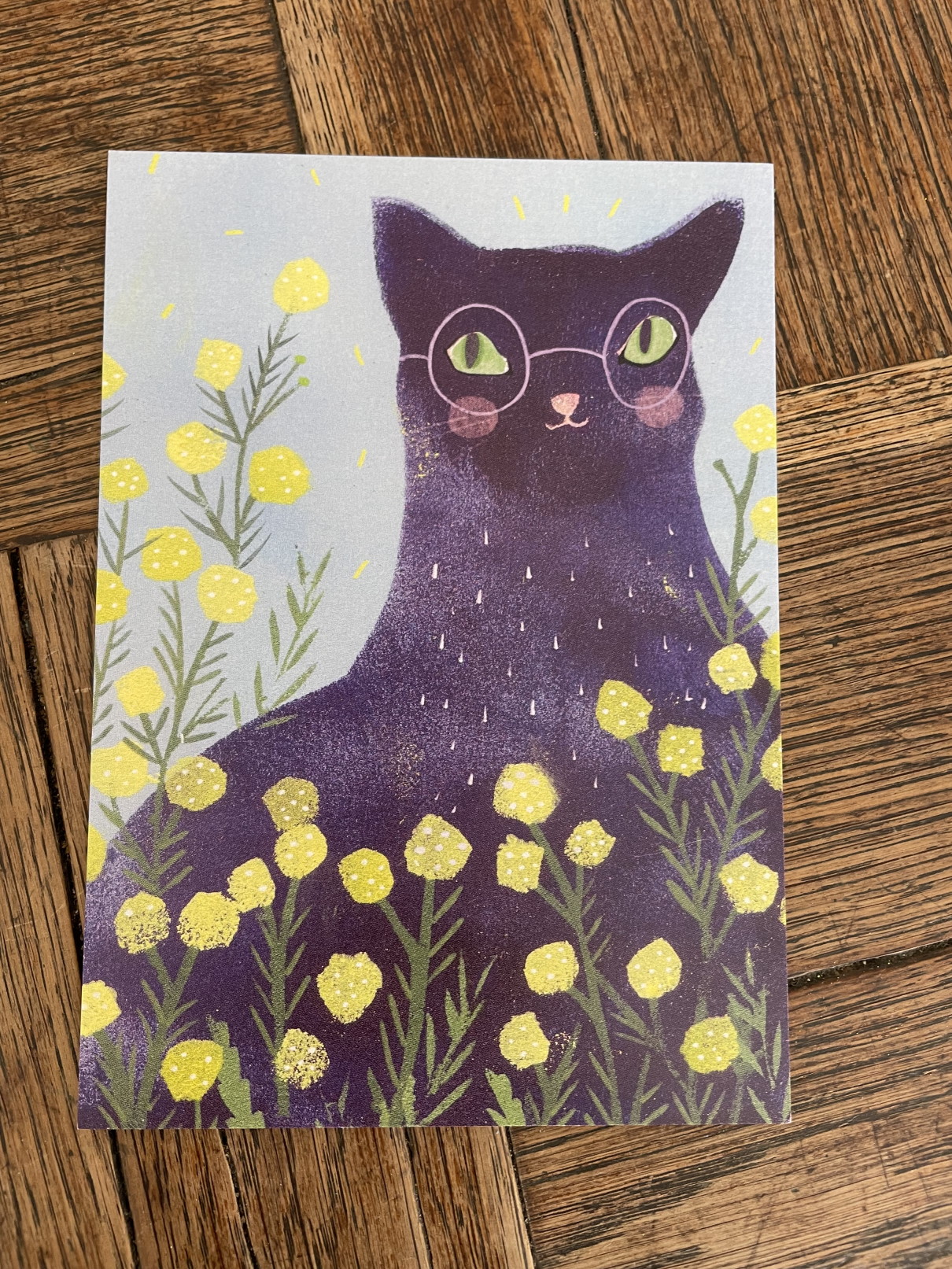 Открытка "Кот мимоз"