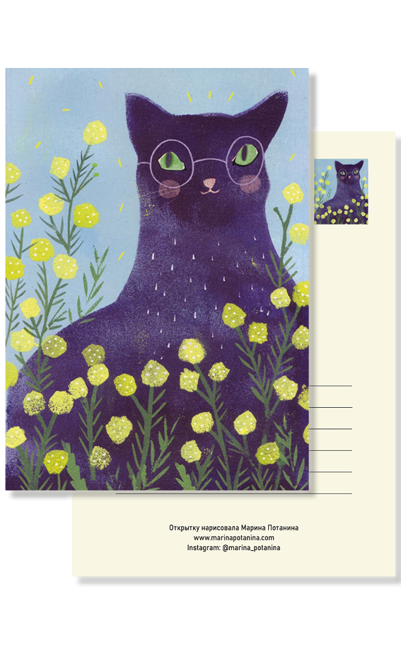 Открытка "Кот мимоз"