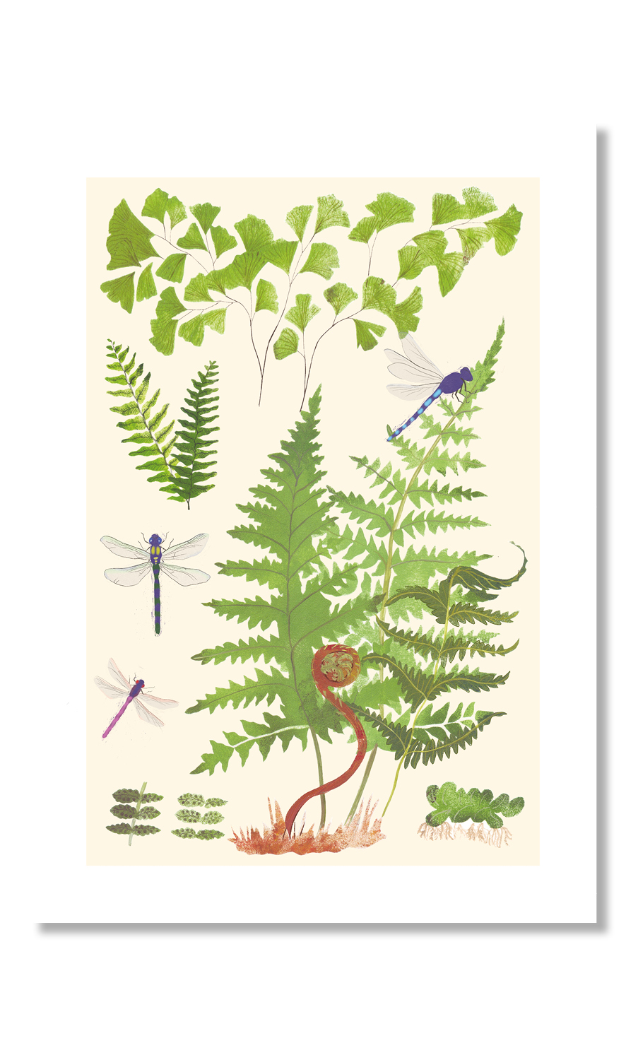 Постер "Стрекозы и папоротники"