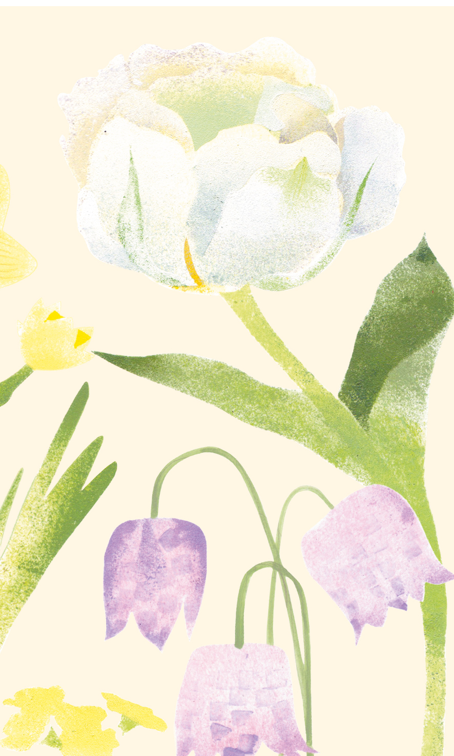 Постер "Первоцветы"