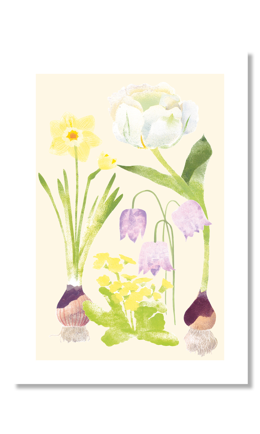 Постер "Первоцветы"