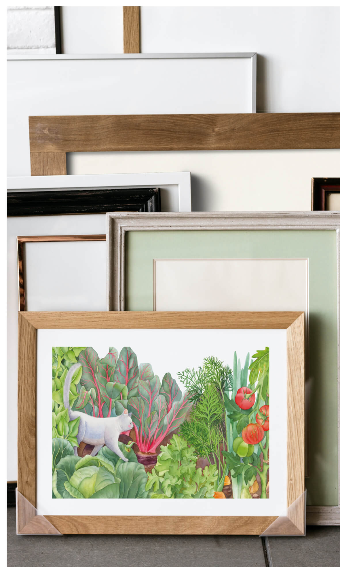 Постер "Кот капустный"