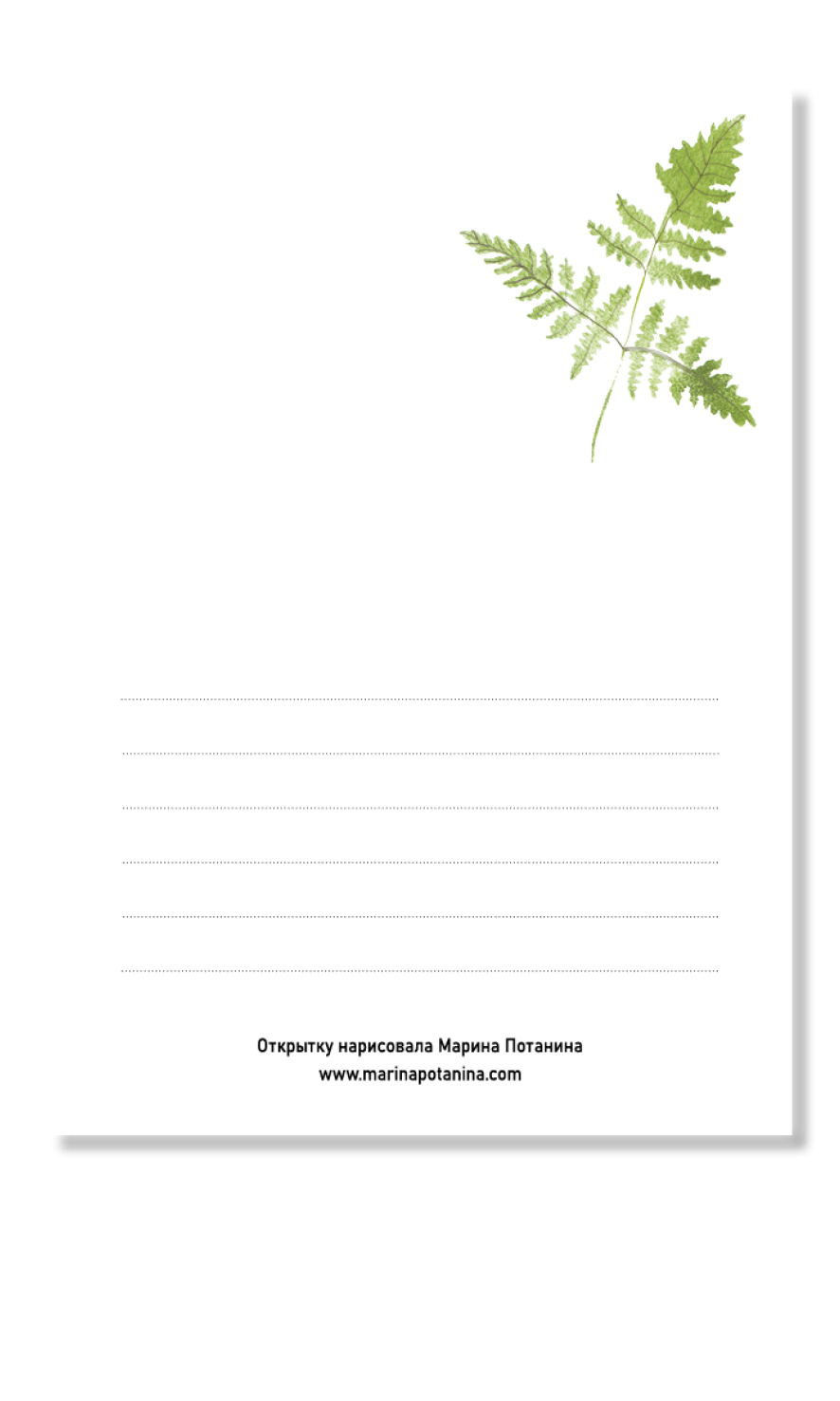 Открытка "Папоротники и стрекозы"