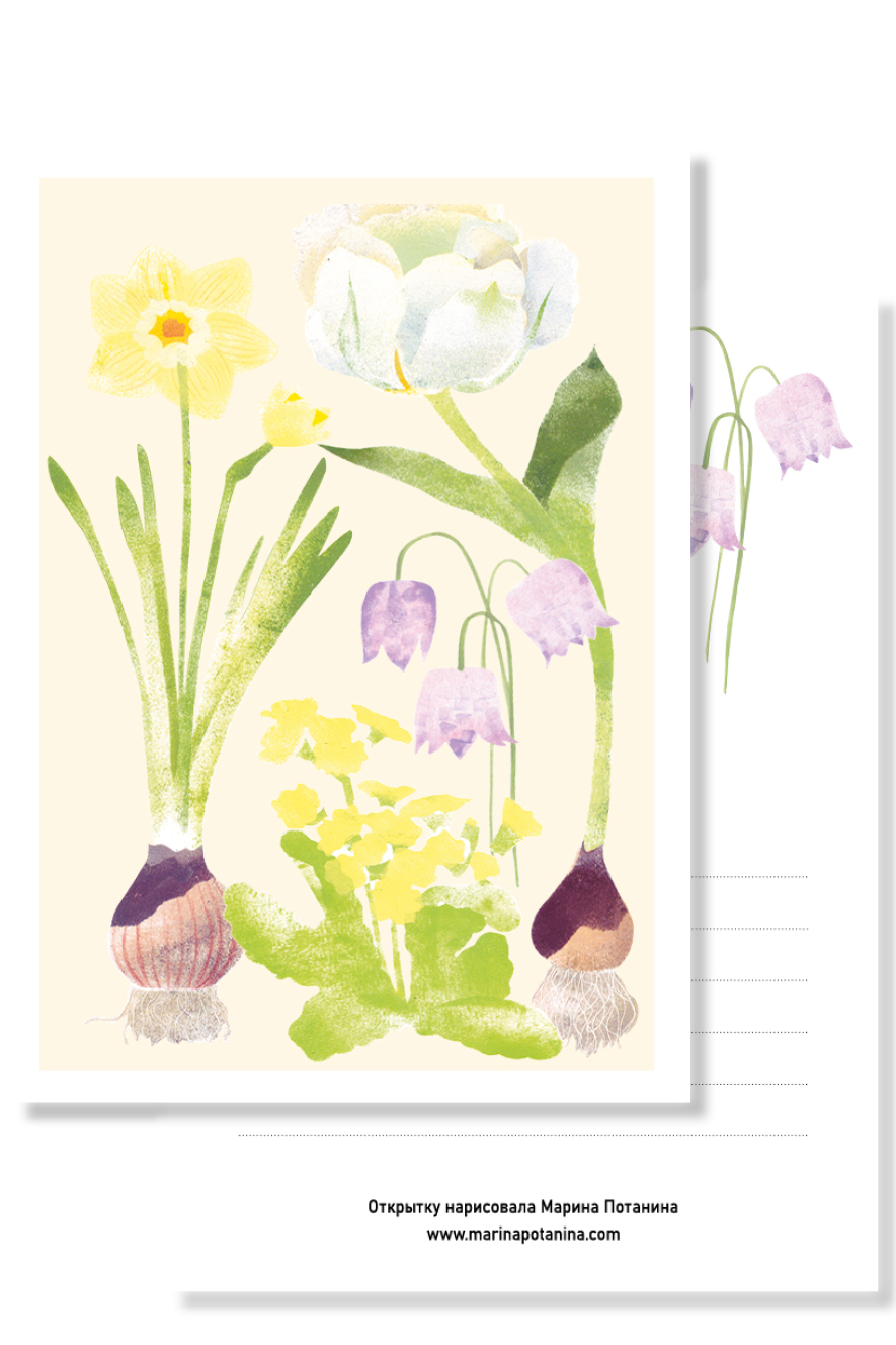 Открытка с тюльпанами