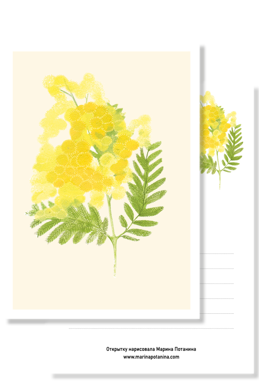 Открытка с мимозой на 8 марта