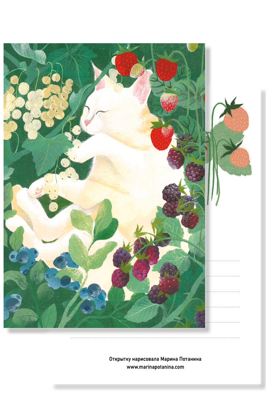 Открытка с котиком в ягодах
