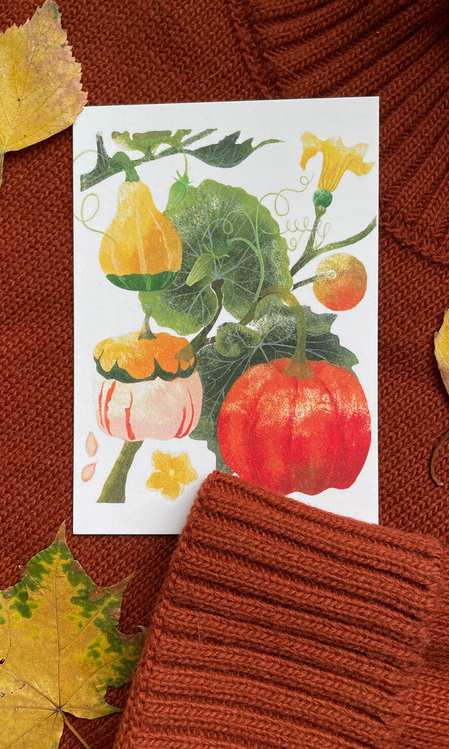 Открытка "Тыквы"