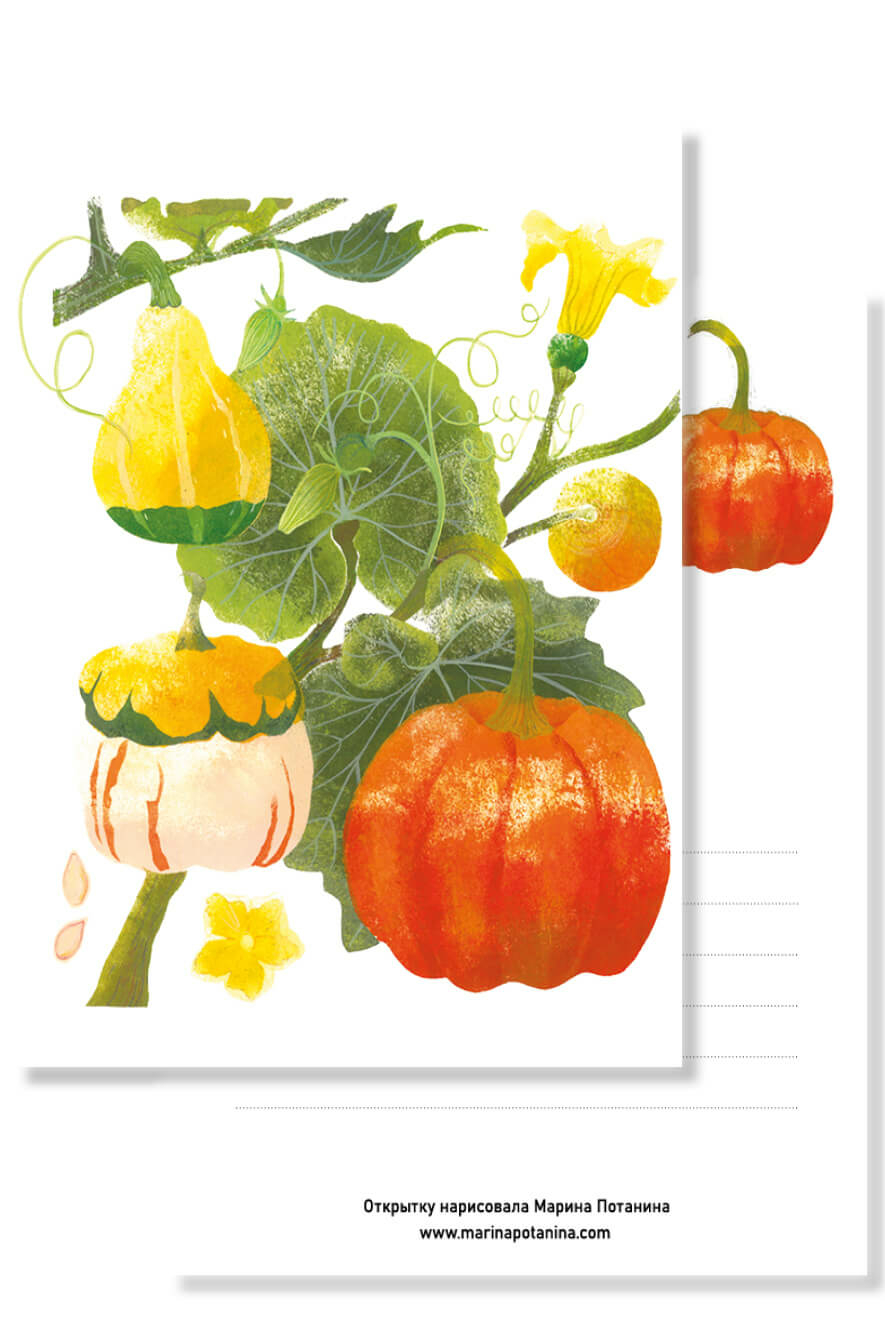 Открытка с тыквами. Художник Марина Потанина