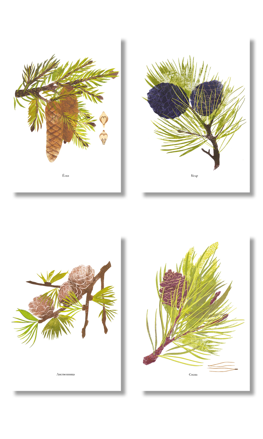 "Елки зеленые"