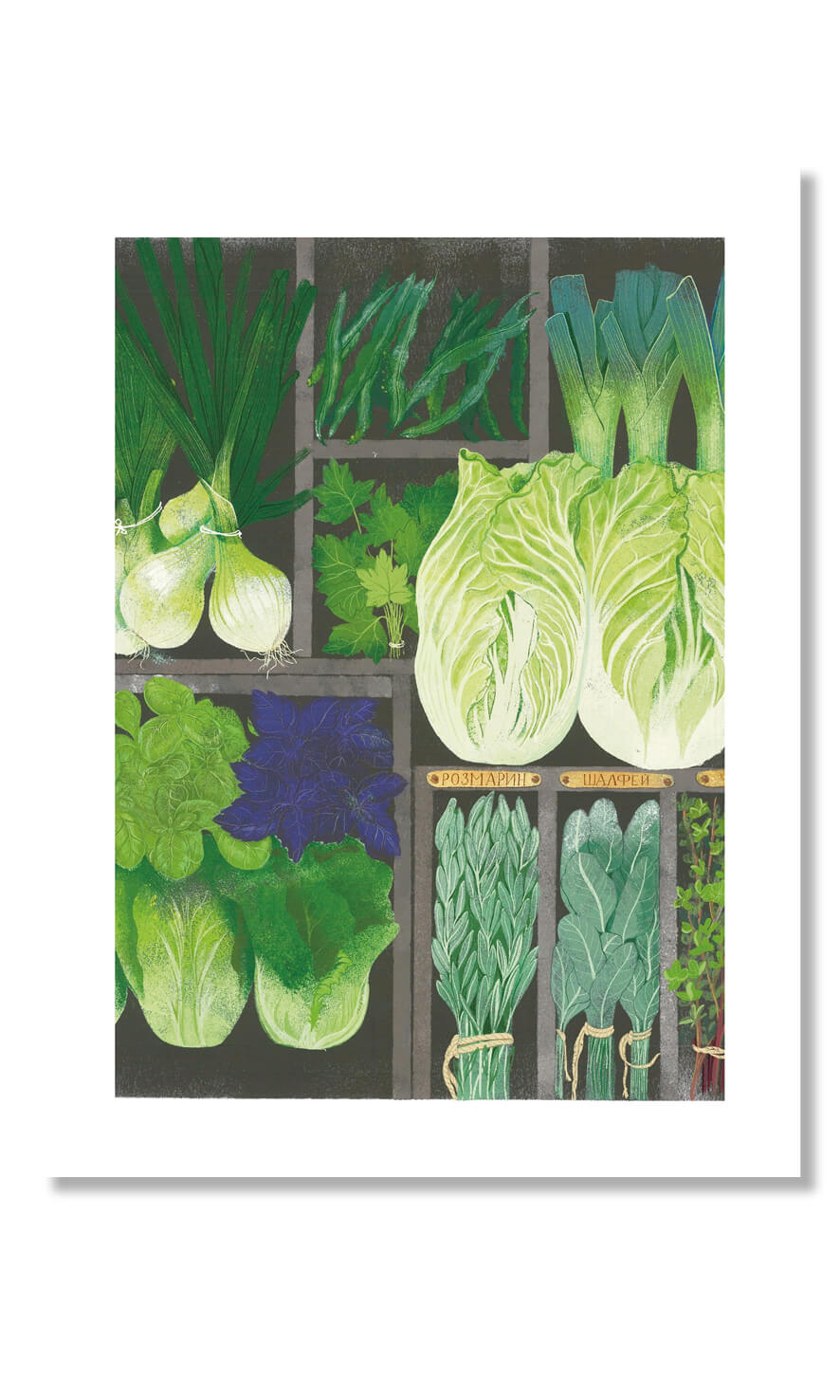 Постер "Свежая зелень"