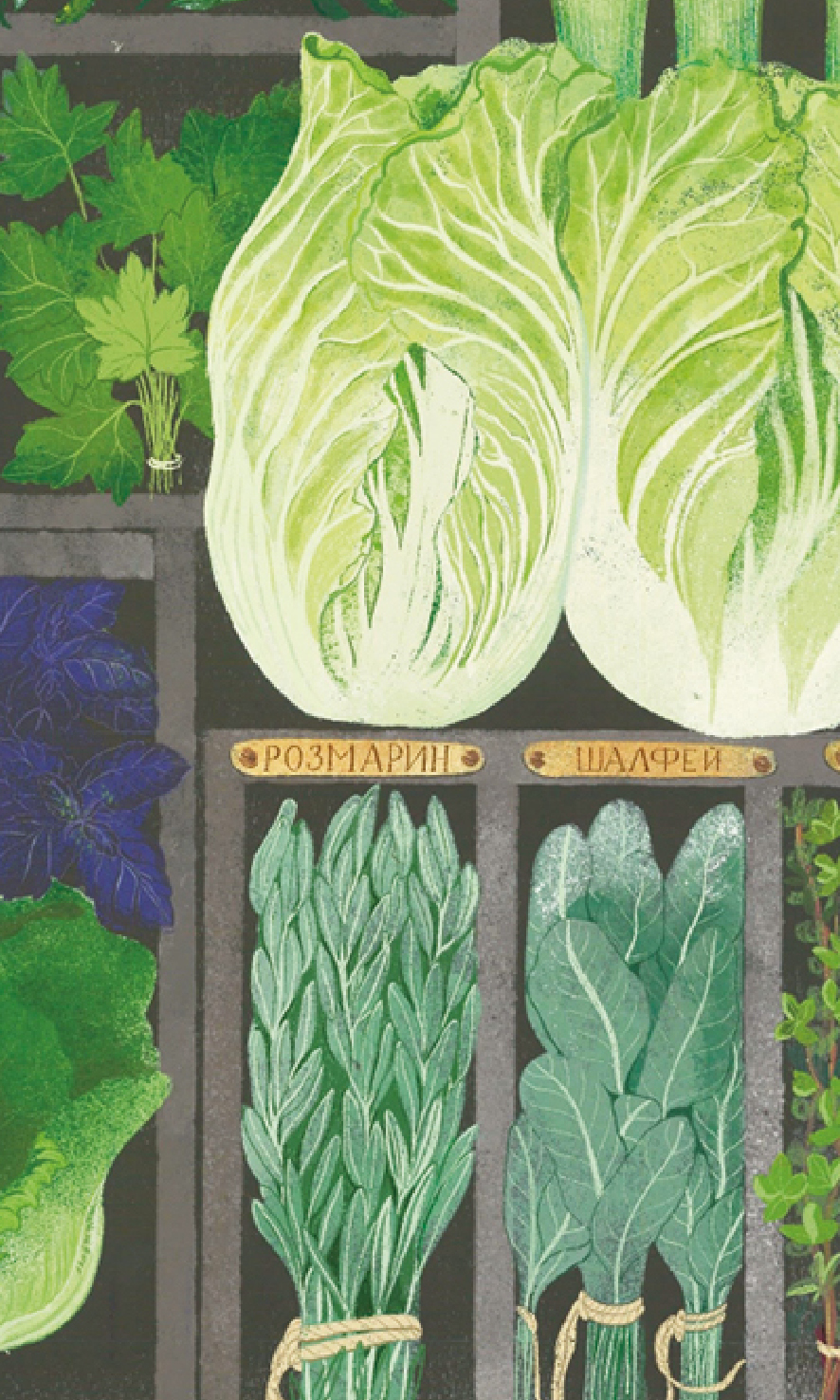 Открытка "Свежая зелень"