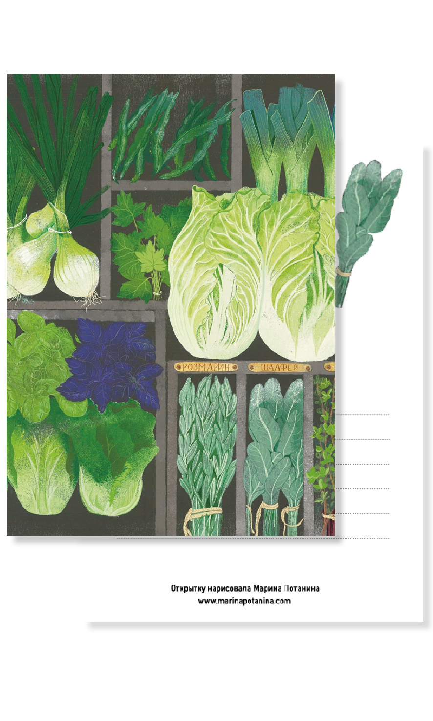 Открытка "Свежая зелень"