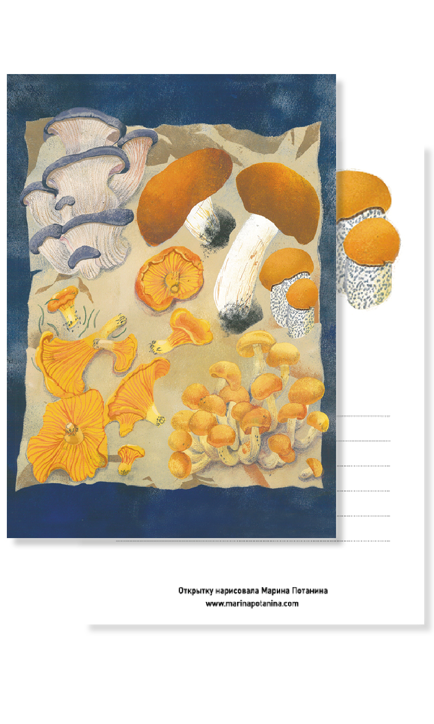 Открытка "Грибная поляна"
