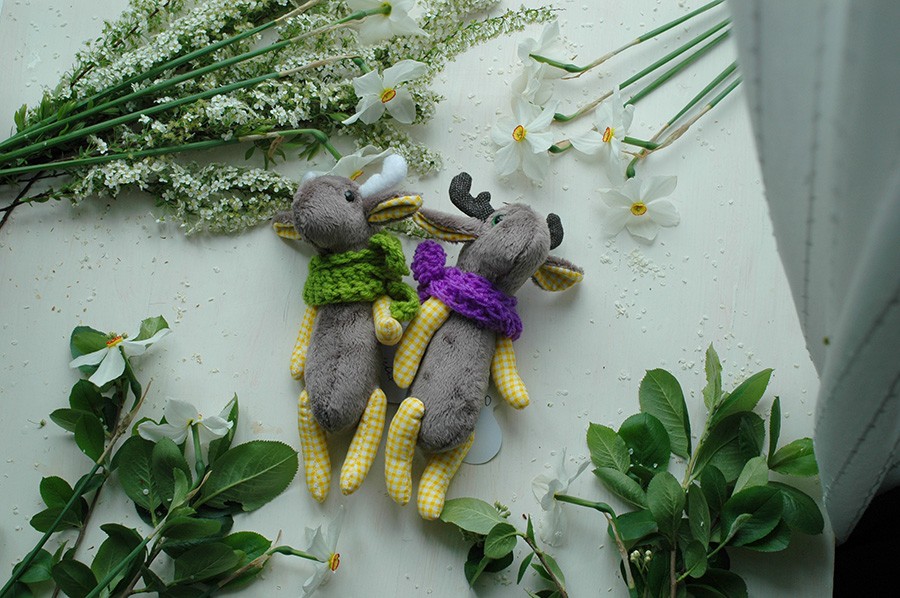 Лоси весенние