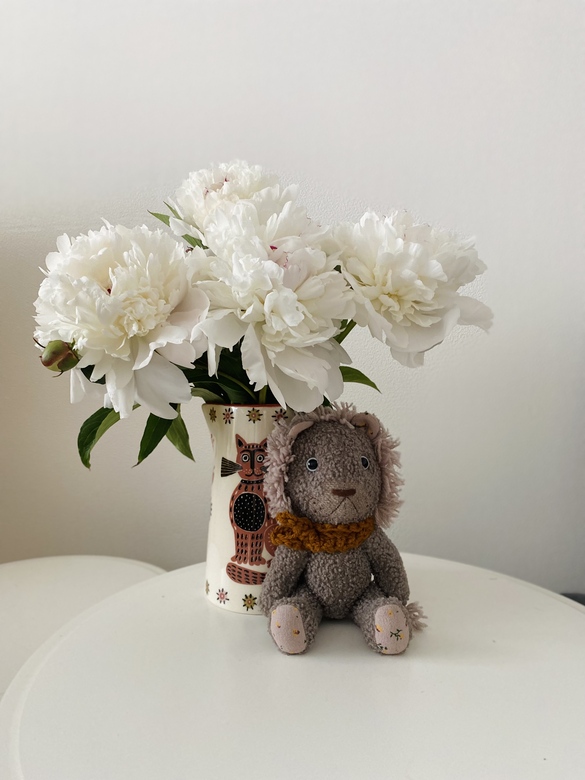 Львёнок букле