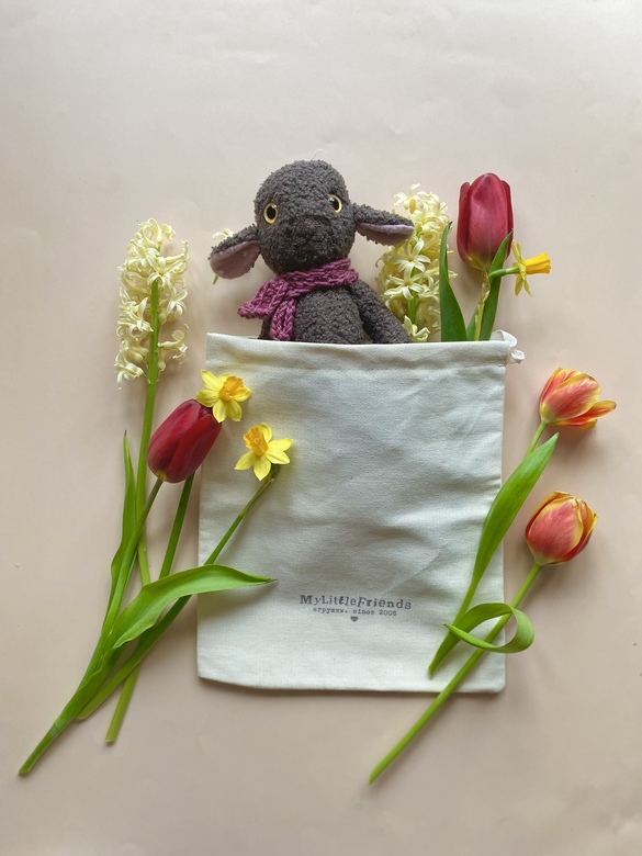 Темная овечка