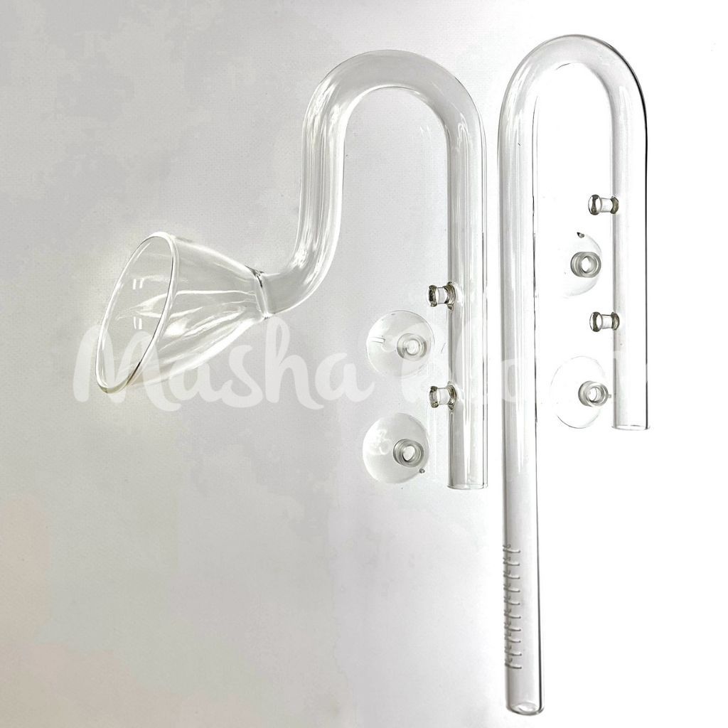 Lily Pipe ISTA вход и выход