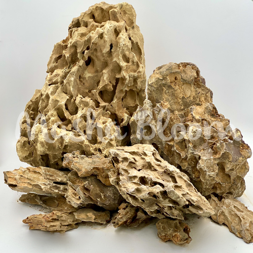 Камень ДРАКОН