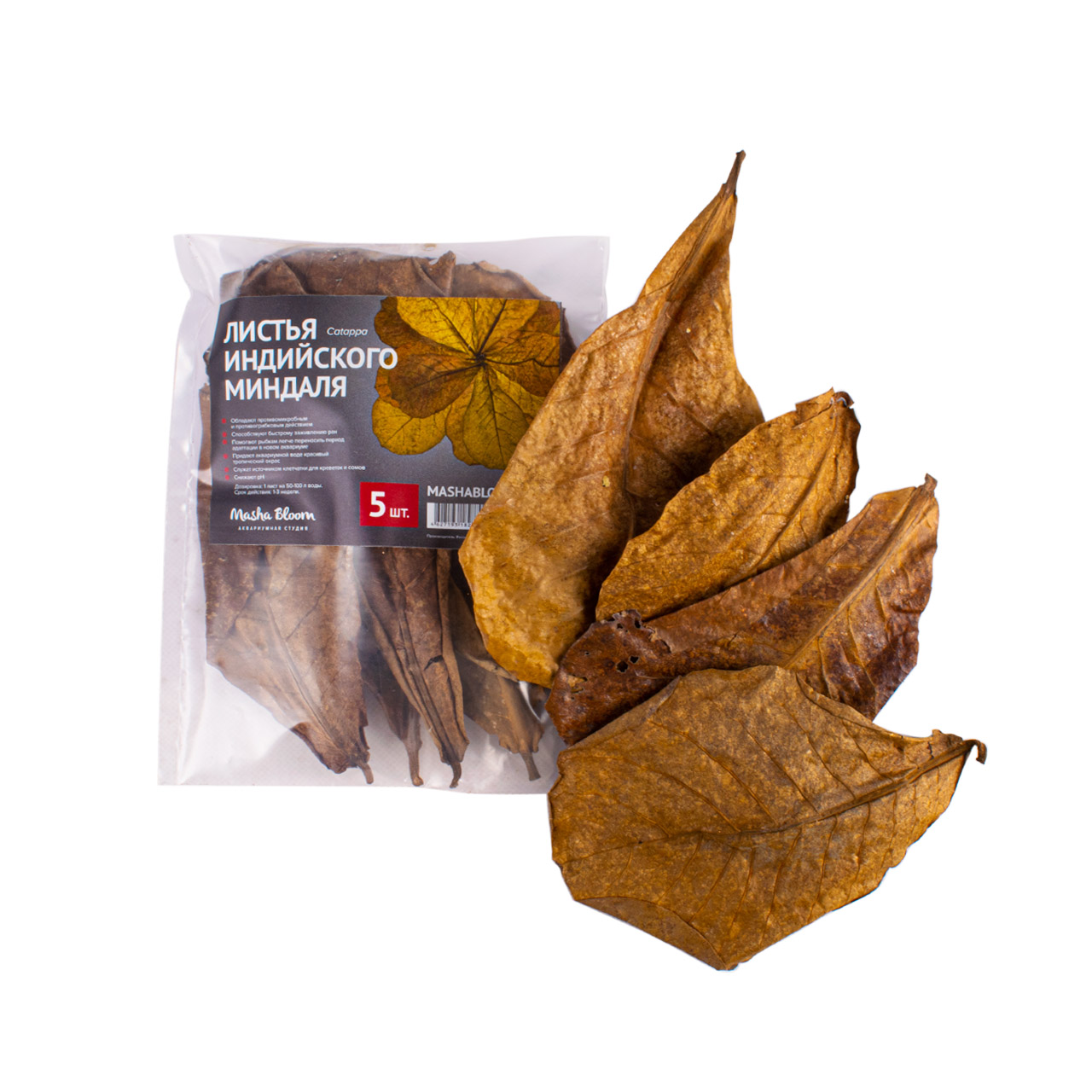 Листья индийского миндаля