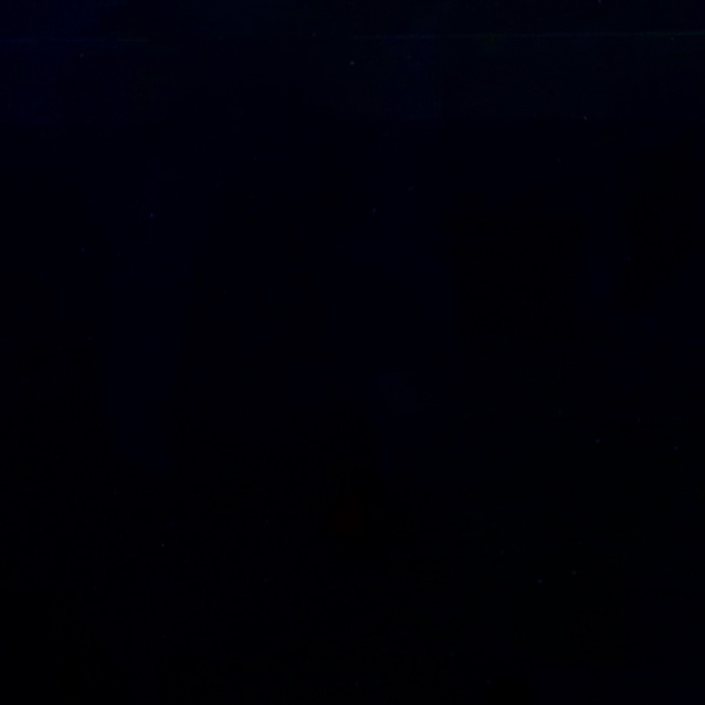 Фон для аквариума Masha Bloom черный