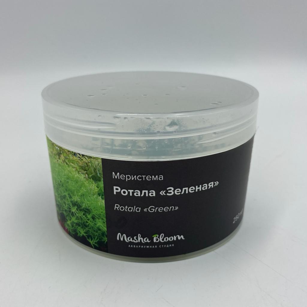 РОТАЛА ЗЕЛЕНАЯ (Rotala «Green») меристема