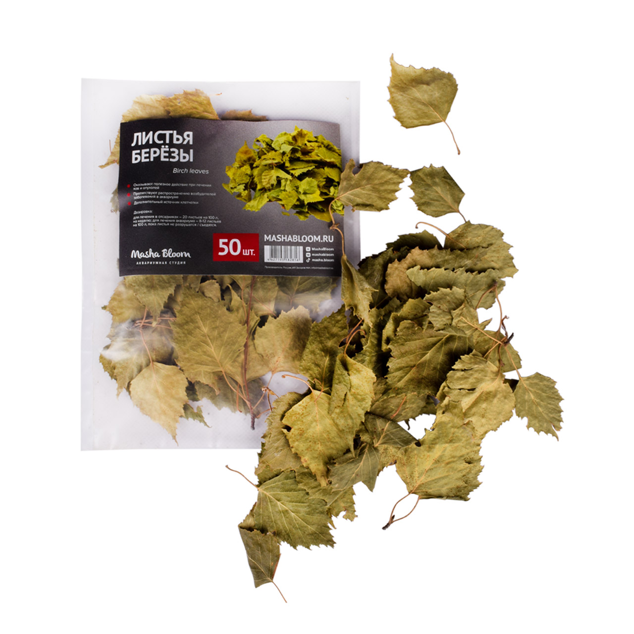 Листья березы