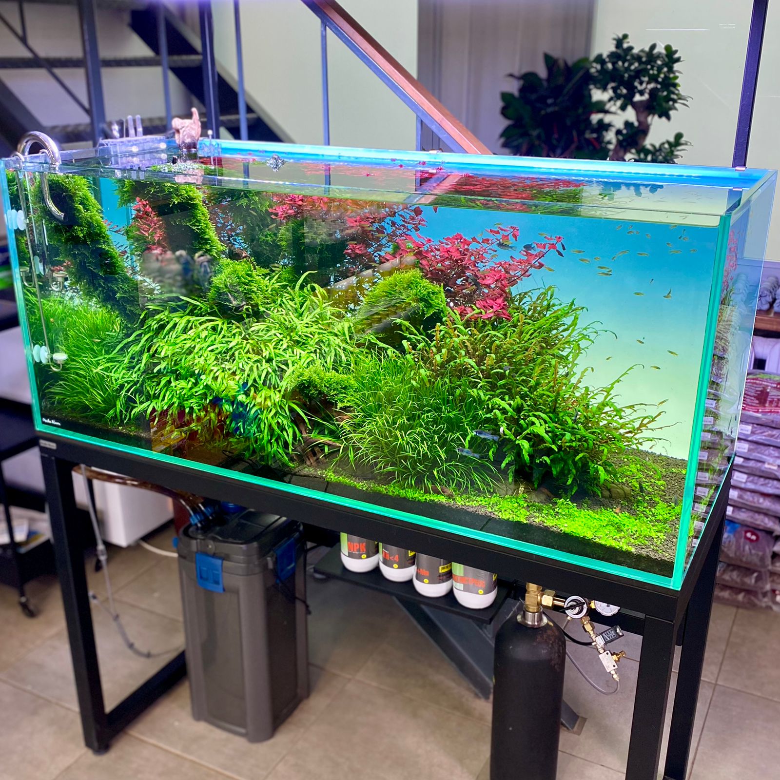 Фон MASHA BLOOM Северное сияние с подсветкой RGB 30х30 см