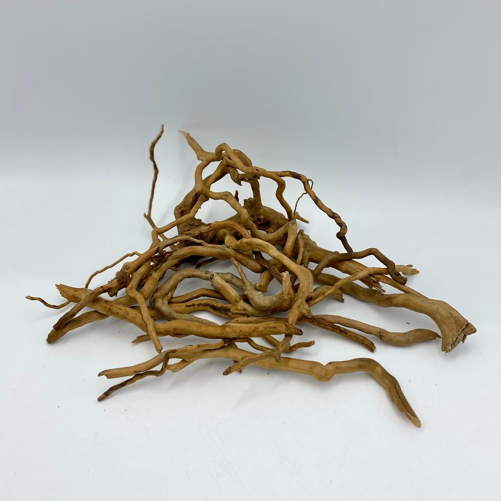 Набор для детализации Masha Bloom Корень азалии