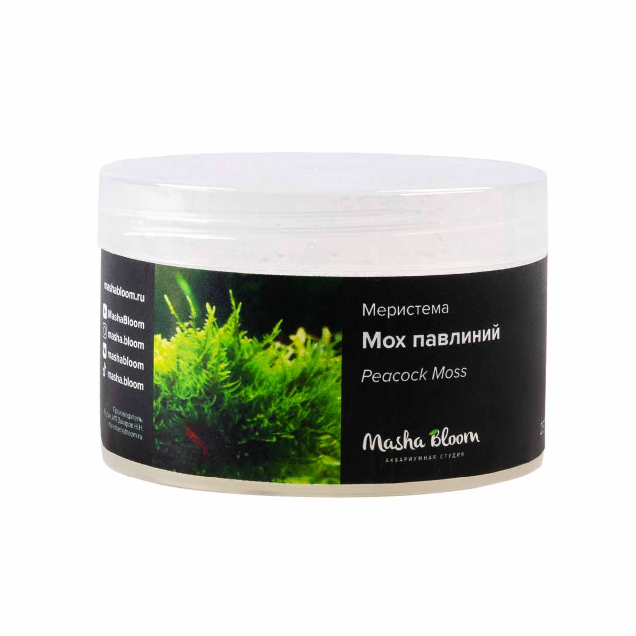 Меристема MASHA BLOOM Мох Павлиний (Peacock Moss) D90 мм