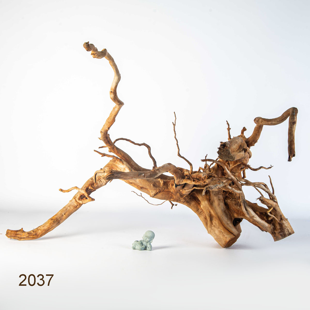 Коряга MASHA BLOOM Пенёчек с корнями 2037