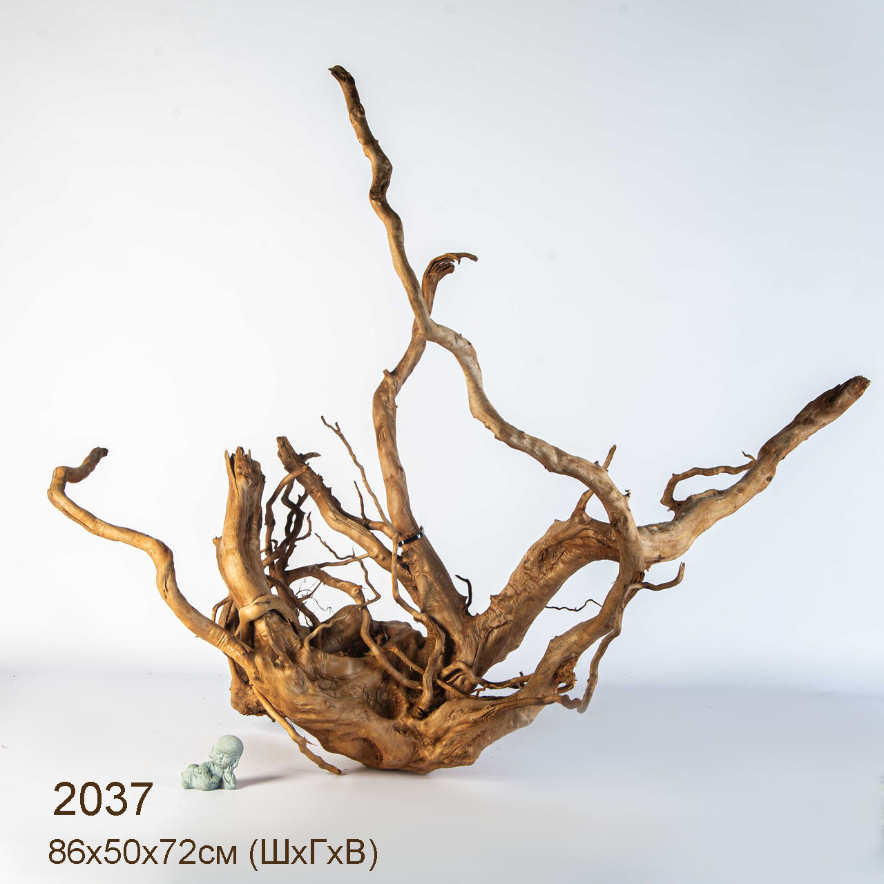 Коряга MASHA BLOOM Пенёчек с корнями 2037