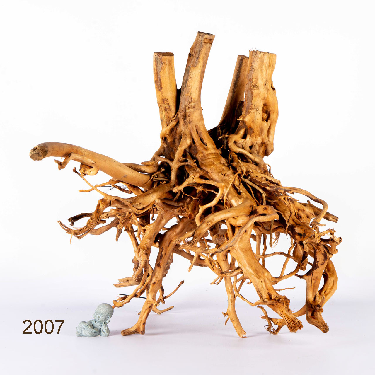 Коряга MASHA BLOOM Пенёчек с корнями 2007