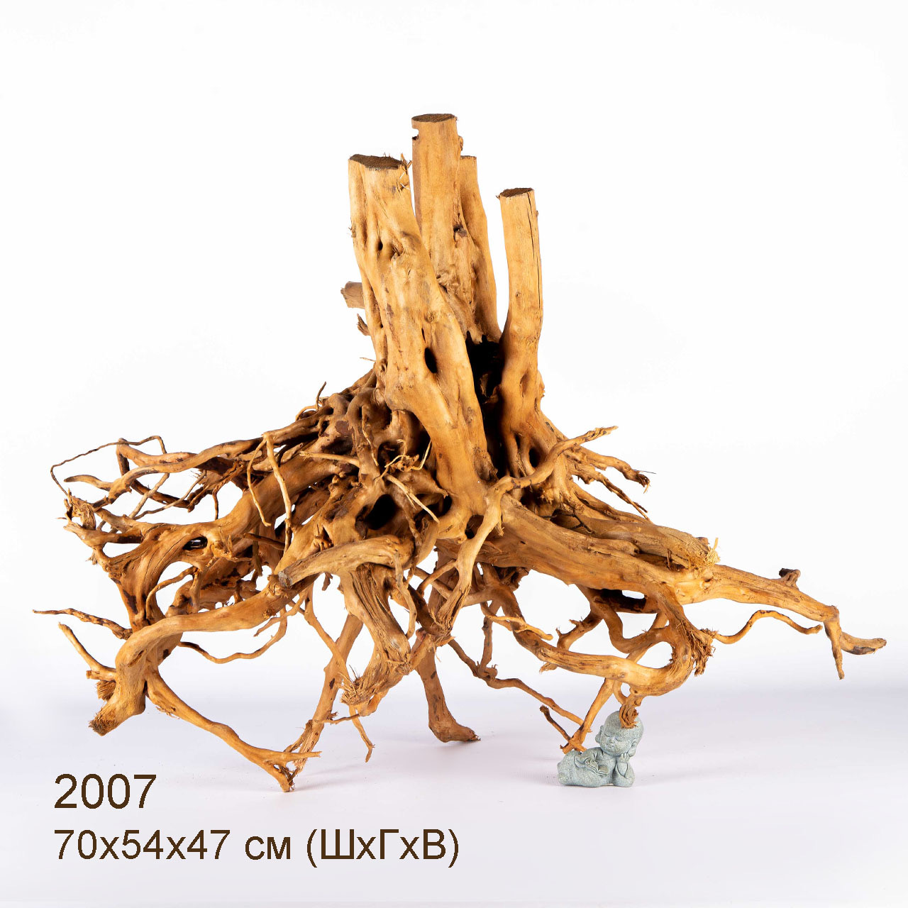 Коряга MASHA BLOOM Пенёчек с корнями 2007