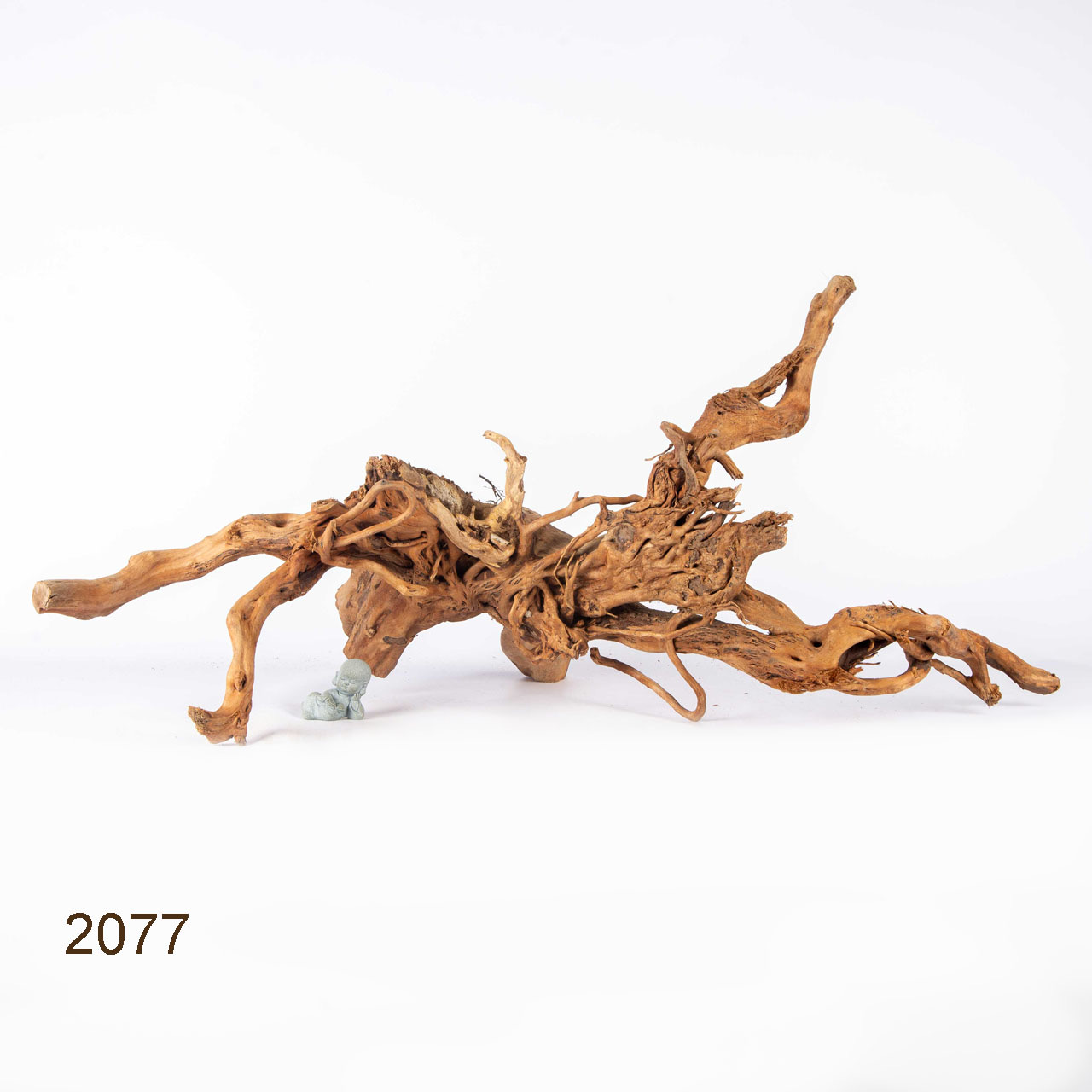 Коряга MASHA BLOOM Пенёчек с корнями 2077