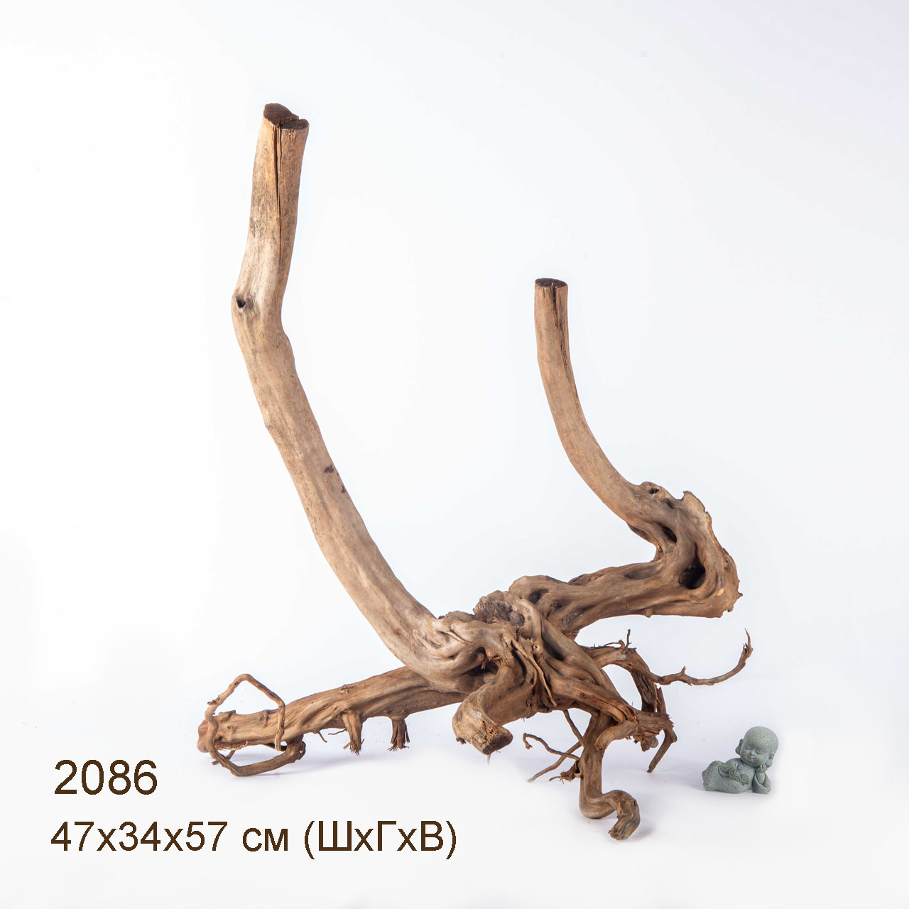 Коряга MASHA BLOOM Пенёчек с корнями 2086