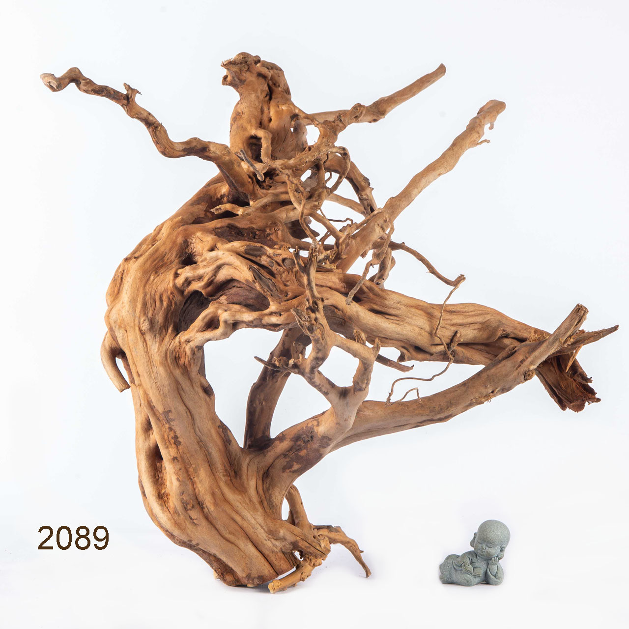 Коряга MASHA BLOOM Пенёчек с корнями 2089