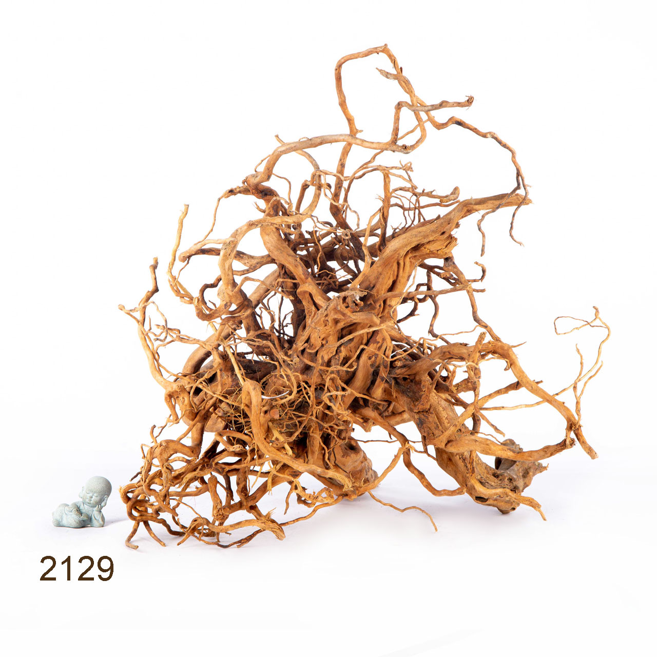 Коряга MASHA BLOOM Пенёчек с корнями 2129