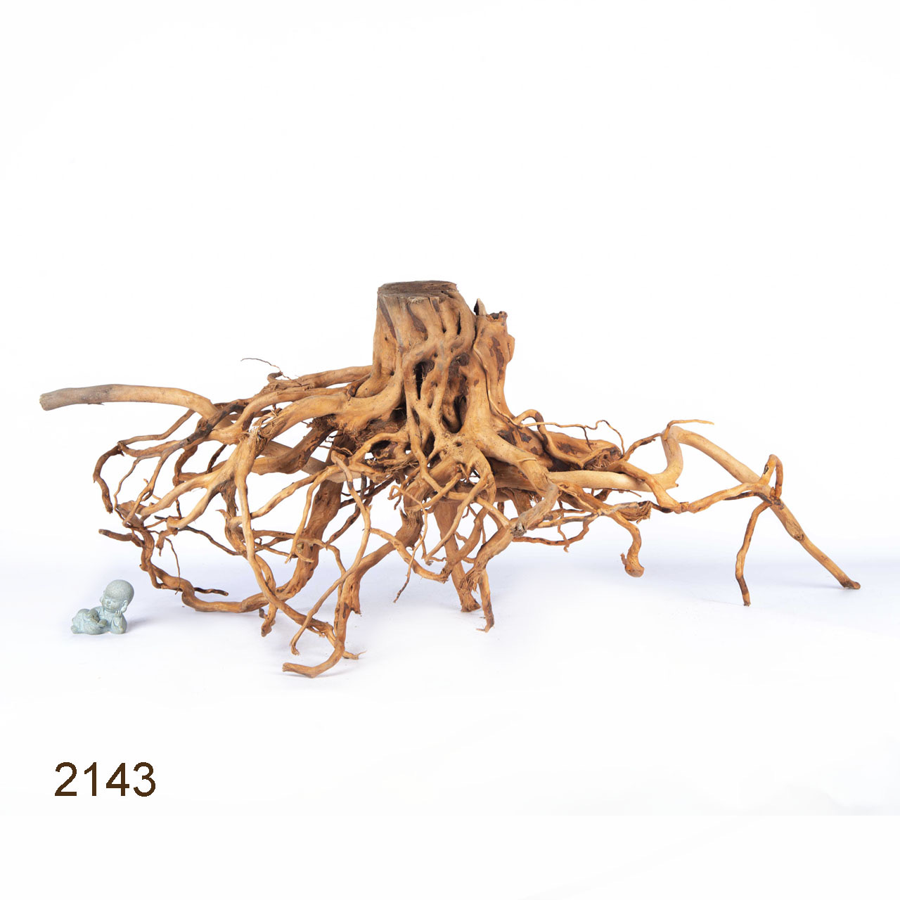 Коряга MASHA BLOOM Пенёчек с корнями 2143