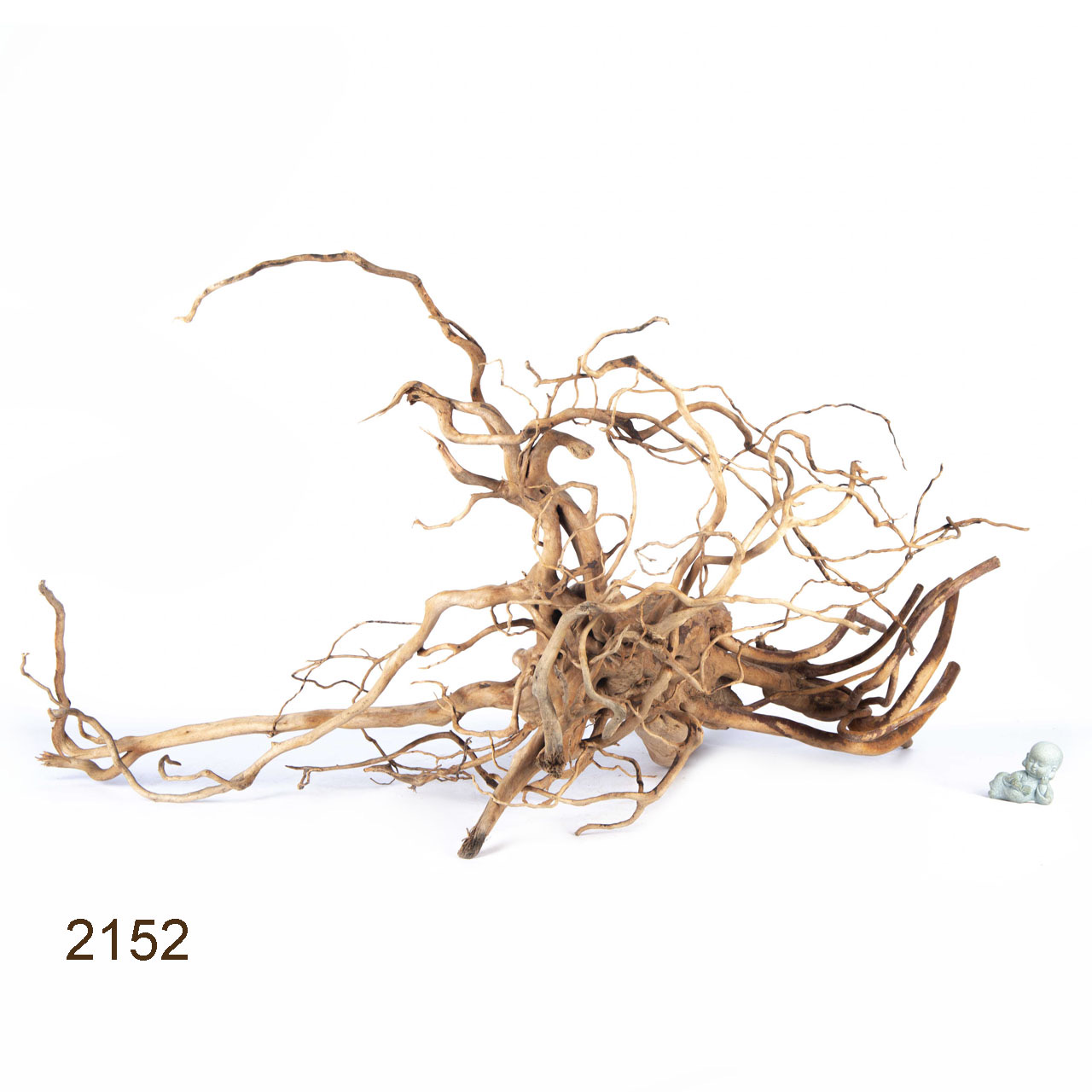 Коряга MASHA BLOOM Пенёчек с корнями 2152