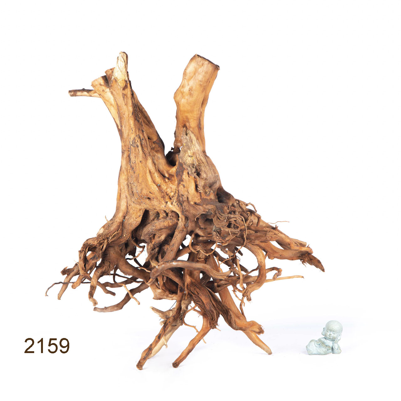 Коряга MASHA BLOOM Пенёчек с корнями 2159