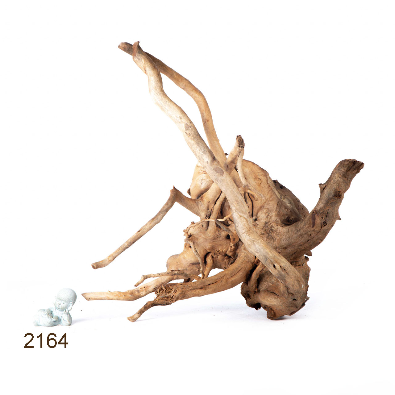 Коряга MASHA BLOOM Пенёчек с корнями 2164