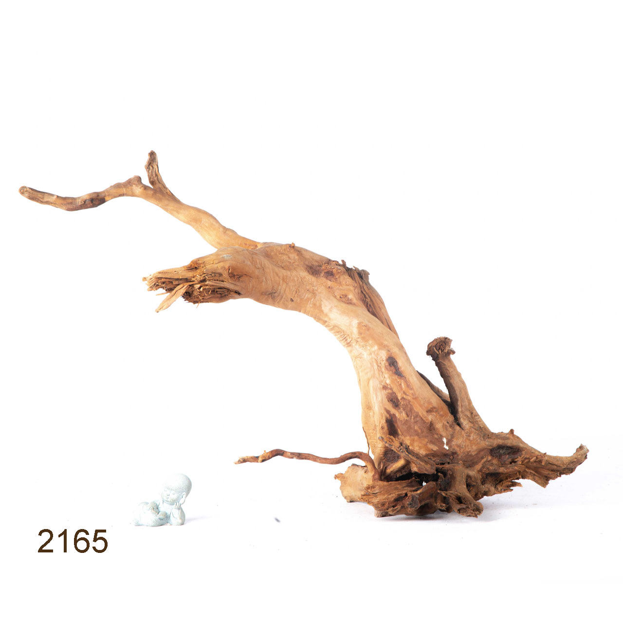 Коряга MASHA BLOOM Пенёчек с корнями 2165